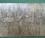 Фотография групповая, четверо военных на природе. Первая мировая война 1914-1918 гг.