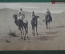 Колониальная открытка. Африка, бедуины на верблюдах. "Scenes Algeriennes - Touaregs dans le Saharab"