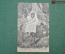 Колониальная открытка фотография. Женщина на ослике. Северная Африка. "Mauresque et Bourriquot"