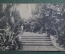 Открытка старинная "Сочи. Парк Ривьеры". Почтовая карточка. Изд. Кореневич, 1926 год.