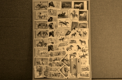 Почтовые марки. Тематическая подборка "Животные. Лошади"