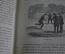 Книга "Игры для подростков". Улица, дом. Множество иллюстраций. Париж, 1866 год. На французском. #K9
