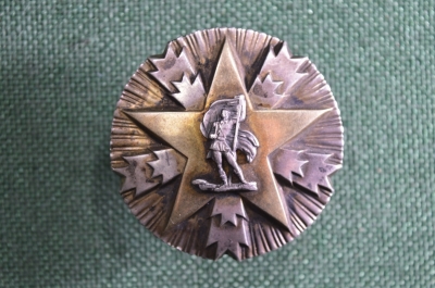 Орден за заслуги перед народом (Орден Труда) с серебряной звездой 3 степени. Югославия. Номер 35625