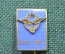 Знак, значок "Военный парашютист 1942-1982", Югославия, тяж. металл, горячая эмаль, клеймо