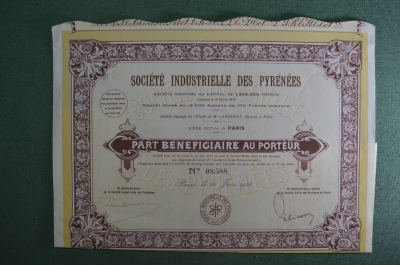 Акция общества "Пиренейская промышленная компания", Франция, 1924 год