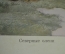 Советский плакат "Олень, Северные олени", Наглядное пособие для детских садов. "Просвещение" 1977 г.