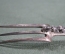 Старинный набор для разделки мяса (нож и вилка), Грифон, кон. 19 - нач. 20 века, Франция, серебро