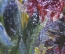 Картина "Ваза с цветами на подоконнике". Автор неизвестен. Картон, масло. 