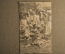 Открытка "Групповое фото со львом". Французские колонии в Африке, начало 20 века.