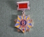 Нагрудный Знак "6-ая воздушная армия". СССР.