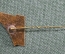 Знак, фрачник Рыболовецкий колхоз "Банга". п.Роя. Латвийская ССР. Banga Roja.