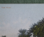 Старинная открытка "река Нил, Египет". № 126. Начало XX века.