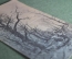 Старинная открытка "Путешествие через осенний лес". B.K.W. Начало 20 века.