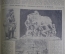 Журнал "Огонек", № 41 за 1915 год. Первая Мировая Война - хроника, события, герои, истории, техника.