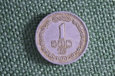 1 цент 1970 года. Шри - Ланка. Цейлон. 