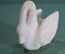 Статуэтка миниатюрная, фигурка "Птица лебедь". Мыльный камень, резьба