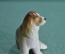 Статуэтка миниатюрная, фигурка "Сидящая собака, спаниель". Фарфор.