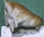 Статуэтка миниатюрная, фигурка "Сидящая собака, спаниель". Фарфор.