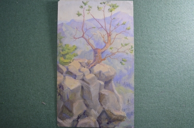 Картина, зарисовка "Сосна на вершине, Кавказ". Автор неизвестен. Масло, картон.