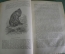 Книга старинная "Жизнь животных". Том 1-й. А. Брэм. 1874 год.