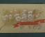 Обертка этикетка от шоколада "Сливочный 1 мая". З-д Красный октябрь. 1953 год.