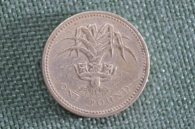 1 фунт 1985 года. Уэльс. Великобритания. 
