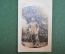 Фотография, военный с палочкой около дерева. Первая мировая война 1914-1918 гг.