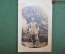 Фотография, военный с палочкой около дерева. Первая мировая война 1914-1918 гг.