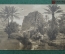 Колониальная открытка фотография. На берегу реки. Алжир."Scenes Algeriennes - Au Bord d'un Oued"
