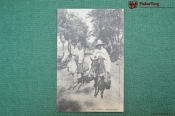  Колониальная открытка фотография. Мужчины на лошадях. Алжир.