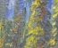 Картина "Осень в горах". Холст, масло. Художник В.П. Карпенко.