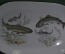 Набор столовый "Рыбы, рыбалка". Блюдо и 6 тарелок. Сервиз рыбака. Кахла, ГДР.