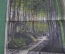 Шелкография (картина на шелке) "Дорога в лесу". Старый Китай. 1950-е годы. 