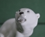 Фарфоровая фигурка, статуэтка "Белый мишка, белый медведь, медвежонок" #3. Фарфор, ЛФЗ.