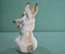 Фарфоровая фигурка, статуэтка "Заяц, зайчик с морковкой". Фарфор, ЛФЗ, 1 сорт. Редкая расцветка.