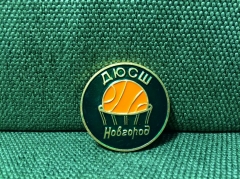 Значок "Дюсш Новгород Баскетбол"