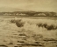 Открытка "Пицунда. Море". Фото Альперта и Петрусова. 1955 год. Чистая.