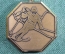 Медаль в честь Парламентских лыжных гонок 1987 года. Лыжник, слалом.