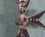 Знак награда "Орден Орлиного Креста Pro Patria 1928". Фрагмент. Эстония. СССР.