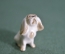 Статуэтка, фигурка фарфоровая "Собака, пекинес". Фарфор, миниатюра. ЛФЗ. #3