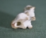 Статуэтка, фигурка фарфоровая "Собака, пекинес". Фарфор, миниатюра. ЛФЗ. #3