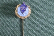 Знак, значок, фрачник 