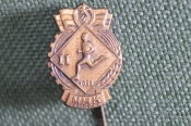 Знак, значок, фрачник 