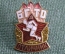 Знак, значок "БГТО. Отличник". Спорт. Тяжелый металл, эмали. ЛМД. #2