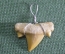 Кулон подвеска "Зуб древней ископаемой акулы" #2