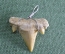 Кулон подвеска "Зуб древней ископаемой акулы" #1