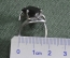 Кольцо, колечко серебряное, с рубиновым камнем. Серебро 925 пробы.