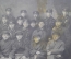 Фотография групповая "Сотрудники органов внутренних дел". МВД, милиция, чекисты. 1920 -е годы. #2