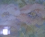 Картина "Натюрморт с цветами и яблоками". Художник Л. Оносовская. Рама, стекло.