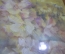 Картина "Букет цветов в стеклянной вазе". Художник Л. Оносовская. Рама, стекло.